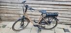 E-bike Vetbike Reparatie en onderhoud, Ophalen, Nieuw, 50 km per accu of meer, Overige merken