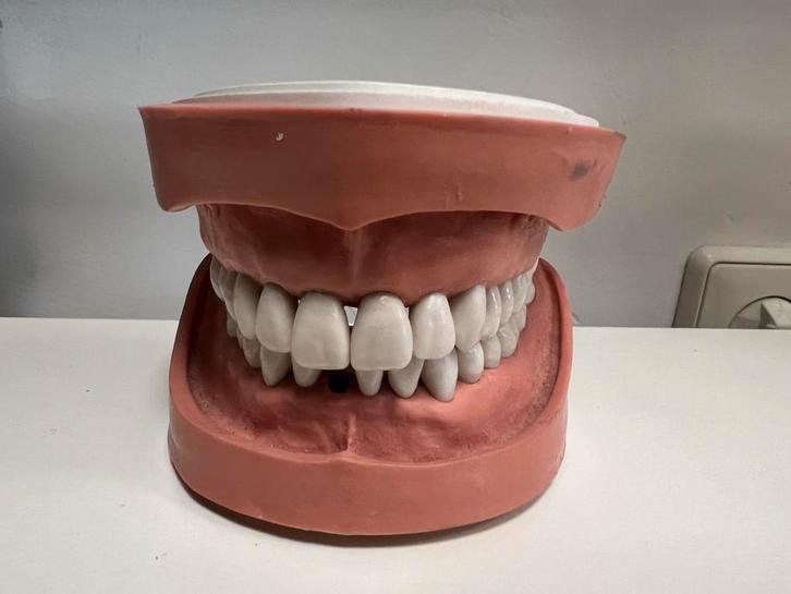 Kavo kaak. Tandheelkundig mondzogkunde, Diversen, Schoolbenodigdheden, Gebruikt, Ophalen of Verzenden