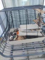 Hamster kooi, Ophalen, Gebruikt, Metaal, Vogelkooi