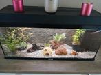 Complete aqarium, Dieren en Toebehoren, Ophalen, Gebruikt, Gevuld zoetwateraquarium