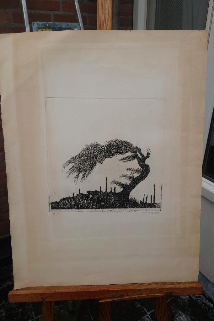 Eugène PETERS (1946) Eenzame boom 1968 groot ets, Antiek en Kunst, Kunst | Etsen en Gravures, Ophalen of Verzenden