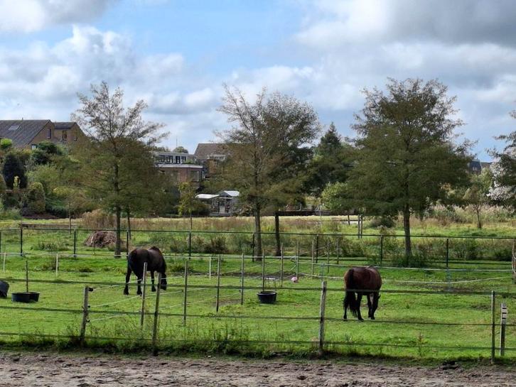 Plekje vrij op 'doe het zelf' stal in Aalsmeerderbrug, Dieren en Toebehoren, Stalling en Weidegang