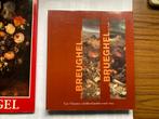 T.K. nog 1 boek over Pieter Brueghel en Jan Brueghel, Ophalen of Verzenden, Gelezen, Schilder- en Tekenkunst