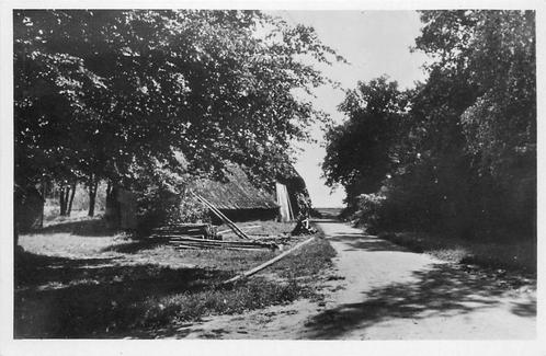 (388-497-033) Kootwijk  Buurman s Erf, Verzamelen, Ansichtkaarten | Nederland, Gelderland, Verzenden