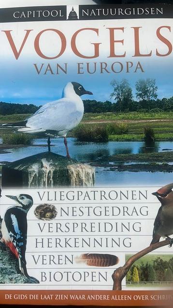 Rob Hume - Vogels van Europa beschikbaar voor biedingen