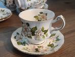 Paragon, fine bone China, 6 x kop en schotel, Ophalen of Verzenden, Zo goed als nieuw, Porselein, Kop en/of schotel