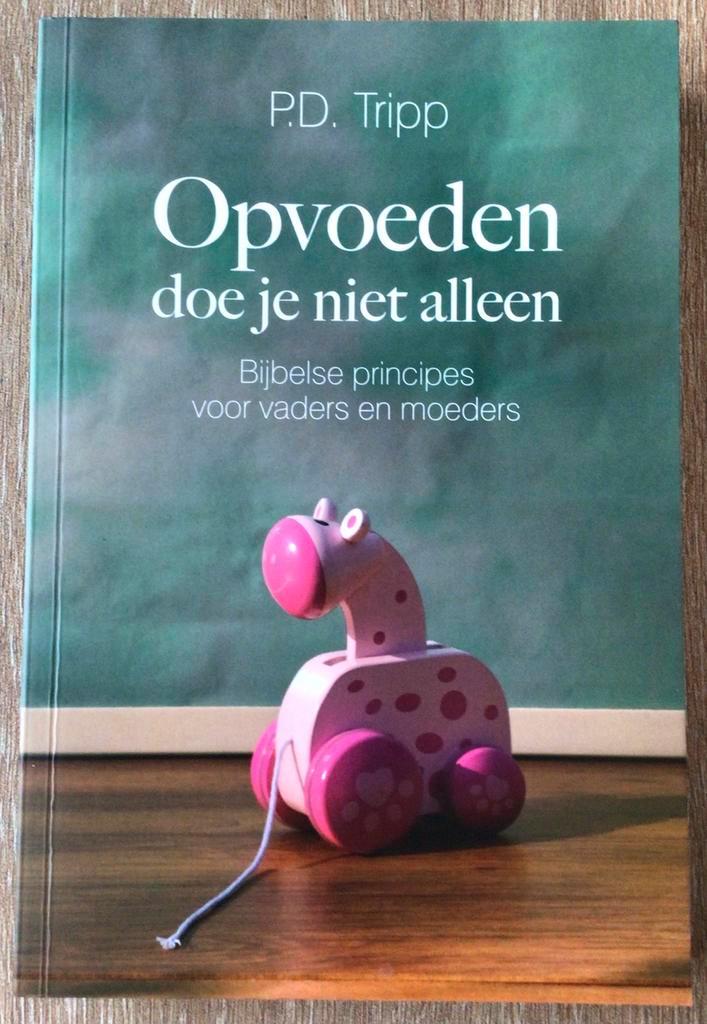 Opvoeden doe je niet alleen – P.D. Tripp, Boeken, Zwangerschap en Opvoeding, Zo goed als nieuw, Opvoeding vanaf 10 jaar, Ophalen of Verzenden
