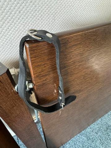 Halsbanden middelgrote hond beschikbaar voor biedingen