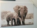Mooi groot canvas, Huis en Inrichting, Woonaccessoires | Schilderijen, Tekeningen en Foto's, Ophalen, 125 cm of meer, Zo goed als nieuw