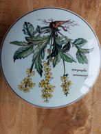 Rond schaaltje met deksel Botanica van Villeroy en Boch, Ophalen of Verzenden, Porselein, Overige stijlen, Schaal of Schalen