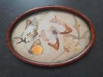 vlinders in lijst, Antiek en Kunst, Ophalen of Verzenden