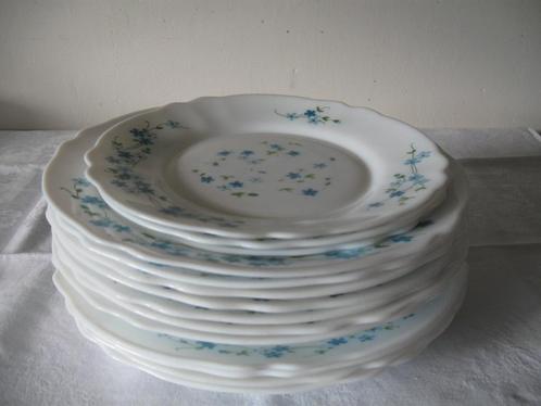Arcopal veronica 14 borden ontbijt diner en diep, Antiek en Kunst, Antiek | Servies los, Ophalen of Verzenden
