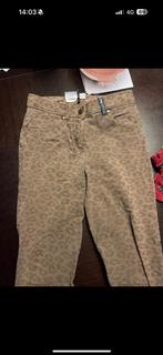 Pk rijbroek, Kleding | Dames, Ophalen of Verzenden, Zo goed als nieuw, Maat 36 (S), Lang