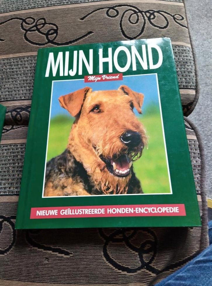 Mijn hond mijn vriend, Boeken, Dieren en Huisdieren, Zo goed als nieuw, Honden, Ophalen