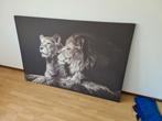 Leeuwen Print - Zwart-Wit 100cmx150cm, Ophalen, 125 cm of meer, 75 cm of meer, Print