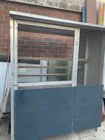 Aluminium voorzet ren , duiven / vogels, Dieren en Toebehoren, Vogels | Duiven, Mannelijk, Postduif