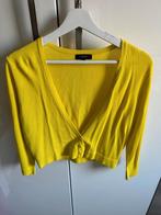 Claudia Strater bolero M, Kleding | Dames, Blouses en Tunieken, Ophalen of Verzenden, Zo goed als nieuw