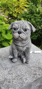 MOPSHOND / betonnen beeld, Dierenbeeld, Nieuw, Info@huisentuindecoratiemarie.nl, Beton