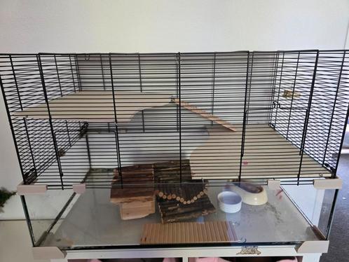 Knaagdieren kooi, Dieren en Toebehoren, Knaagdieren en Konijnen | Hokken en Kooien, Zo goed als nieuw, Kooi, Minder dan 60 cm