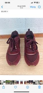 Sketchers 37, Kleding | Dames, Schoenen, Ophalen of Verzenden, Zo goed als nieuw, Sneakers of Gympen