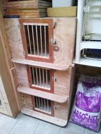 Broedhok, Mannelijk, Kropper