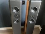 Ariël transmissielijn luidsprekers (Lynn Olson),, Gebruikt, 120 watt of meer, Front, Rear of Stereo speakers, Ophalen