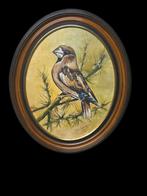 Schilderij .Gesigneerd, Ophalen of Verzenden