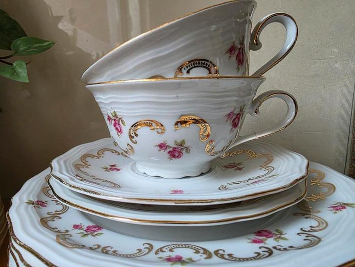 Rheinkrone Bavaria roosjes servies -goed, Antiek en Kunst, Antiek | Servies los, Ophalen of Verzenden