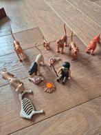 Krijger, kampvuur en tijgers Playmobil, Kinderen en Baby's, Speelgoed | Playmobil, Ophalen, Zo goed als nieuw