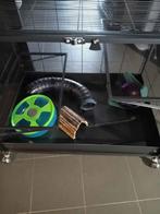 kooi, Kooi, Nieuw, Rat, 75 tot 110 cm