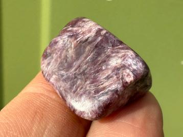 Charoiet Top kwaliteit broekzaksteen mineralen beschikbaar voor biedingen
