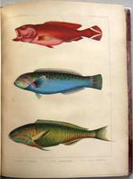 Notes on Japanese Fish 1856 Brevoort - Ichtyologie Vissen, Ophalen of Verzenden