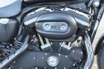 Harley-Davidson XL 883, Chopper, Bedrijf, 883 cc, 12 t/m 35 kW