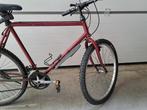 Raleigh Massif 26 inch mountainbike jaren '90, Gebruikt, 26 inch, 15 tot 20 versnellingen, 53 tot 57 cm