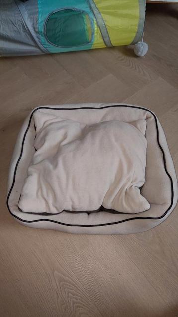 Katten mand beschikbaar voor biedingen