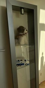 Vitrinekast Ikea( grijs), Zo goed als nieuw, 150 tot 200 cm, 25 tot 50 cm, 50 tot 100 cm