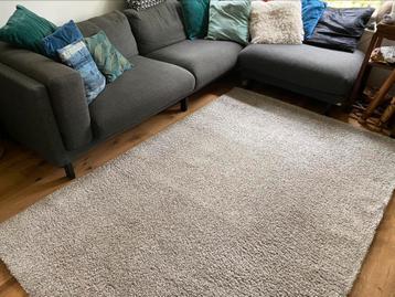 Beige / Lichtgrijs Kleed - 160 x 240 cm - Rookvrij ! beschikbaar voor biedingen