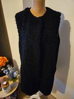 Zwarte teddy gilet, Kleding | Dames, Zwart, Maat 42/44 (L), Ophalen of Verzenden, Zo goed als nieuw