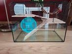 Dwerghamster kooi, Dieren en Toebehoren, Kooi, Minder dan 75 cm, Zo goed als nieuw, Hamster
