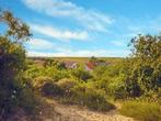 LAST MINUTE VIP Weekend 16-19 mei Center parcs Zandvoort