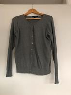 Dun grijs vestje van de Primark maat 42, Primark, Maat 42/44 (L), Ophalen of Verzenden, Grijs