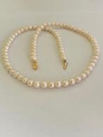 Parel Ketting Witte Akoya Parels 5mm 14K Goud Minimaristisch, Ophalen of Verzenden, Nieuw, Wit, Goud