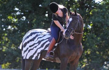 Bucas riding rug zebra nieuw diverse maten beschikbaar voor biedingen