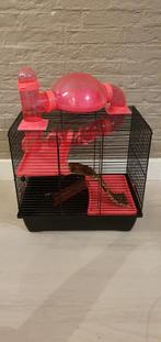 Hamsterkooi, Kooi, Minder dan 75 cm, Minder dan 60 cm, Gebruikt