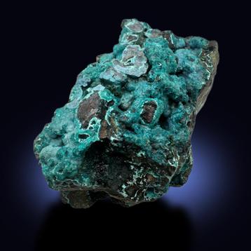 Chrysocolla op matrix – Katanga (DR Congo) beschikbaar voor biedingen