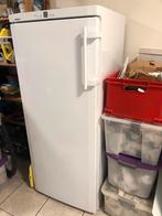 Liebherr nofrost hoge vriezer, Witgoed en Apparatuur, Vriezers en Diepvrieskisten, Gebruikt, Minder dan 60 cm, Energieklasse A of zuiniger