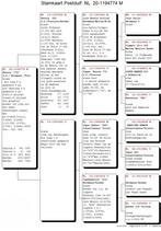 2 Top kweker van postduiven met zeer goede afstamming, Mannelijk, Postduif