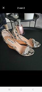 STEVE MADDEN, Kleding | Dames, Schoenen, Ophalen of Verzenden, Zo goed als nieuw, Zwart, Sneakers of Gympen