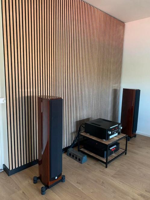 System audio Pandion 20, Audio, Tv en Foto, Luidsprekers, Zo goed als nieuw, Front, Rear of Stereo speakers, 120 watt of meer