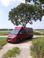 Poessl KW 9 2 Win Plus met Stalling, Overige merken, Buscamper of Camperbus, Tot en met 2, Bedrijf
